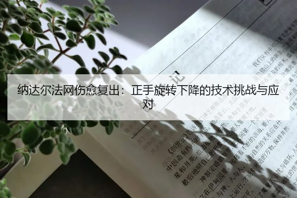 na-da-er-fa-wang-shang-yu-fu-chu-zheng-shou-xuan-zhuan-xia-jiang-de-ji-shu-tiao-zhan-yu-ying-dui-2-468.jpg